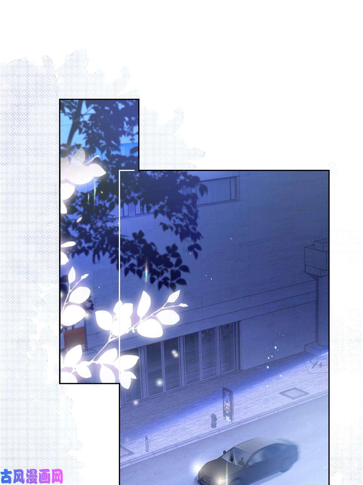 杀手大佬在线养狐046霸总的底气
