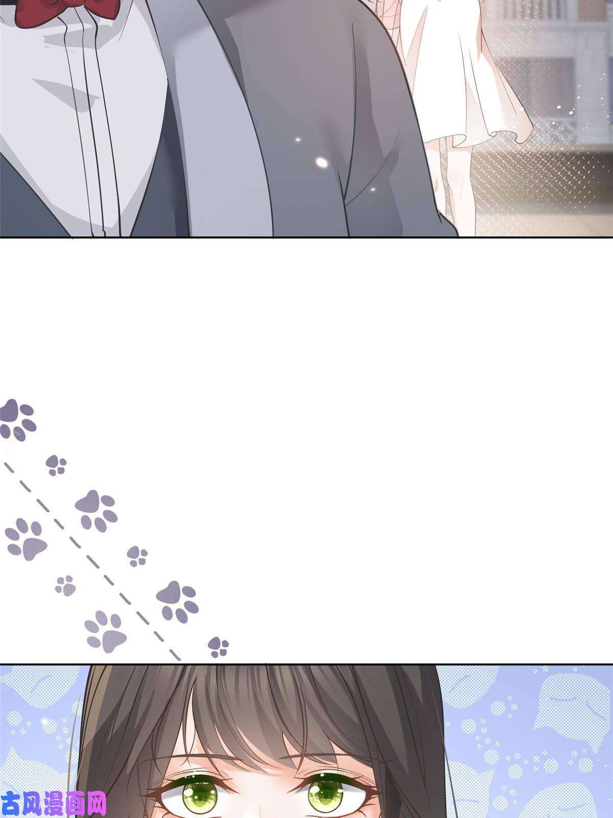 杀手大佬在线养狐046霸总的底气