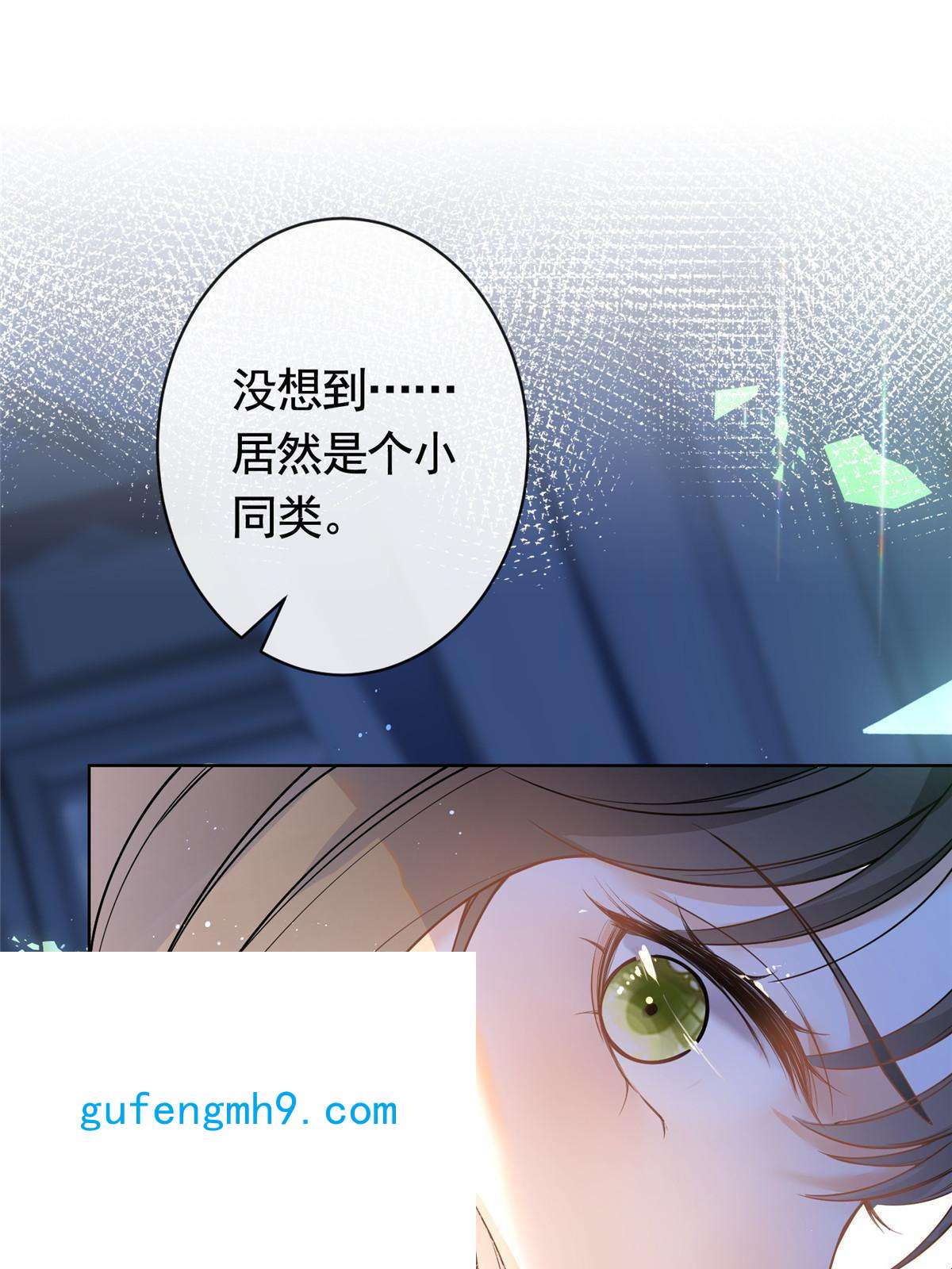 杀手大佬在线养狐050另外的狐族