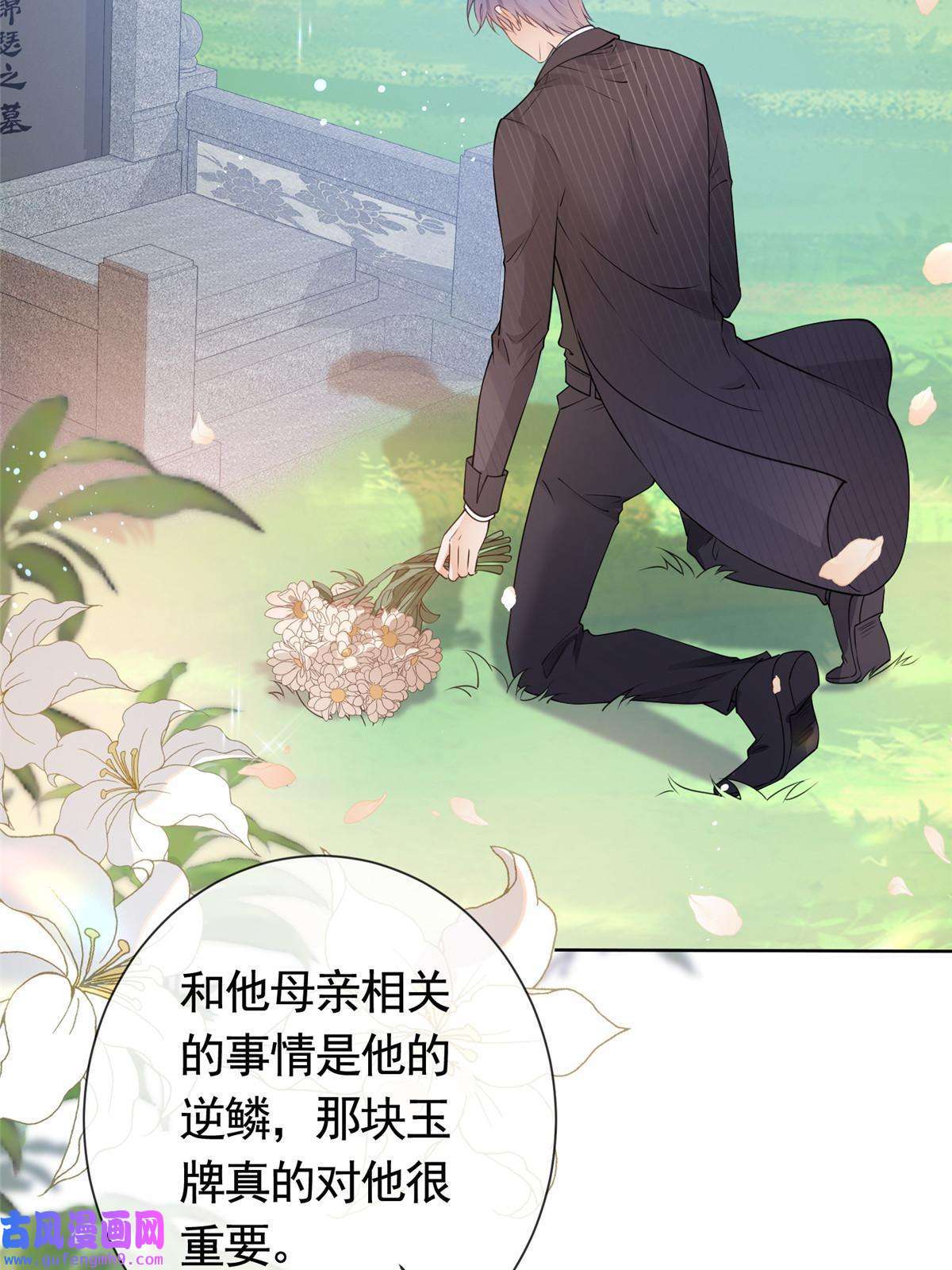 杀手大佬在线养狐052坟墓前的倾述