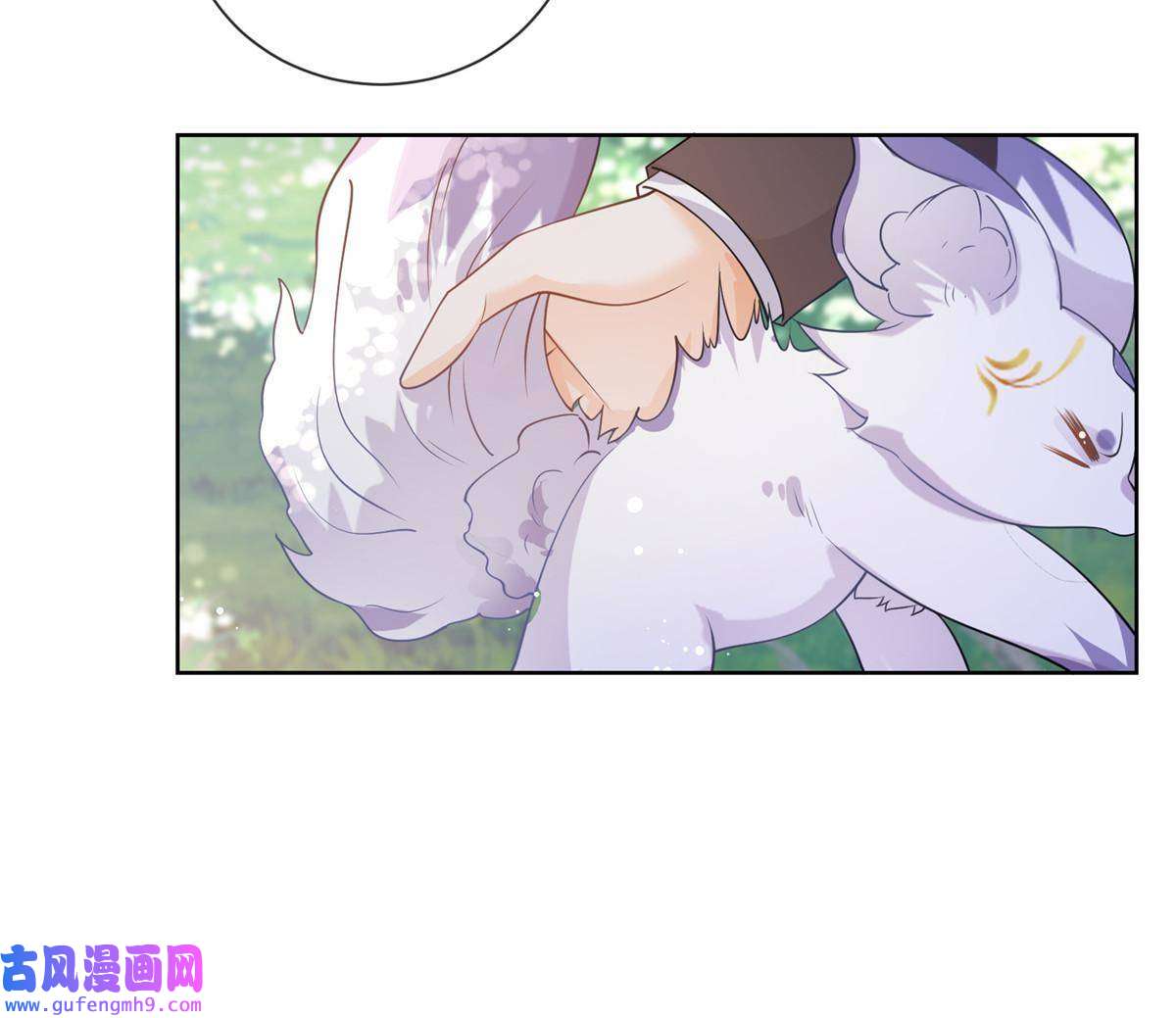 杀手大佬在线养狐052坟墓前的倾述