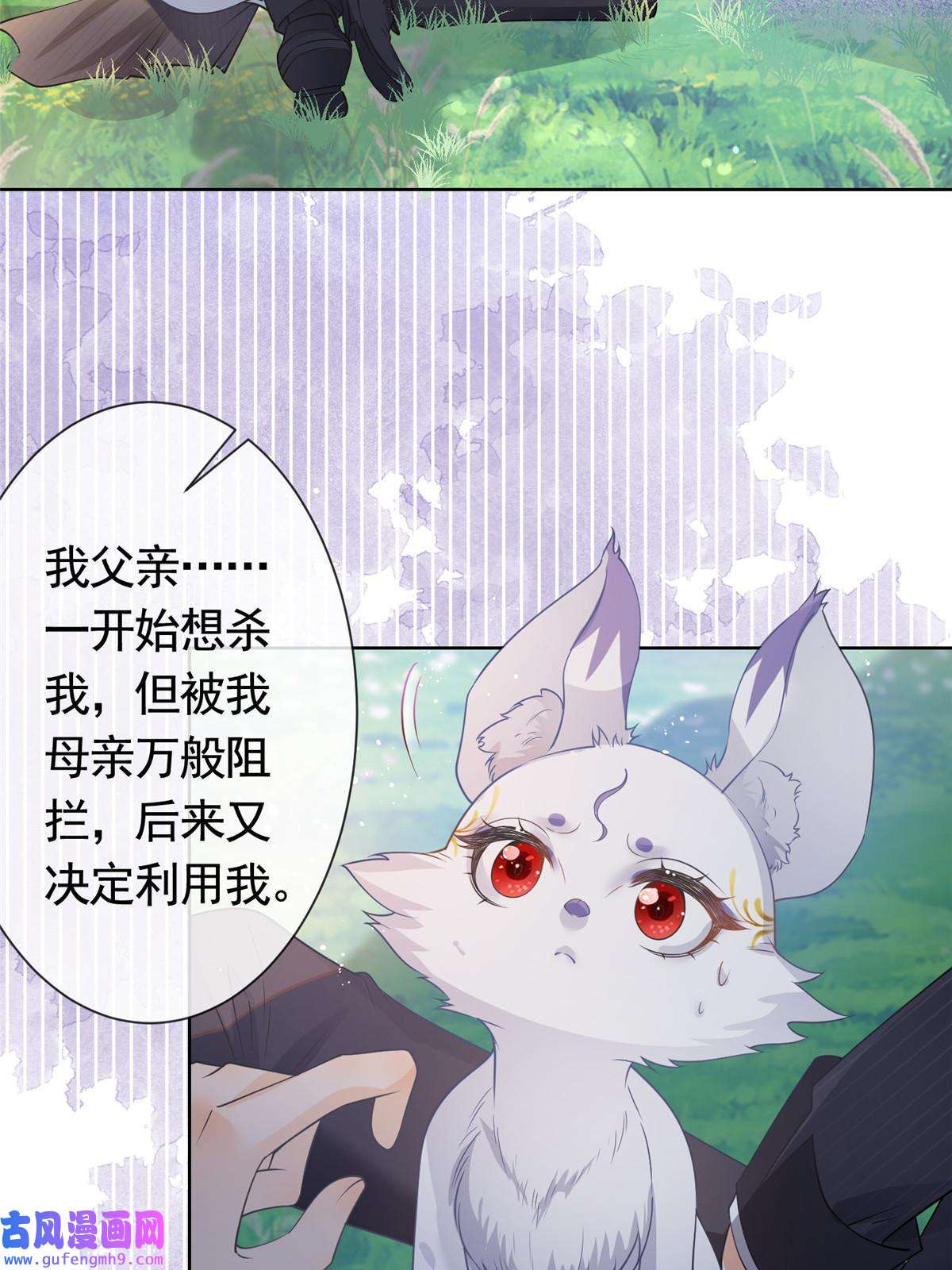 杀手大佬在线养狐052坟墓前的倾述