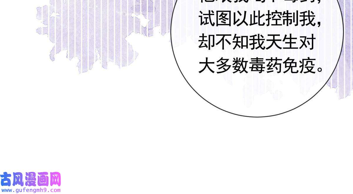 杀手大佬在线养狐052坟墓前的倾述