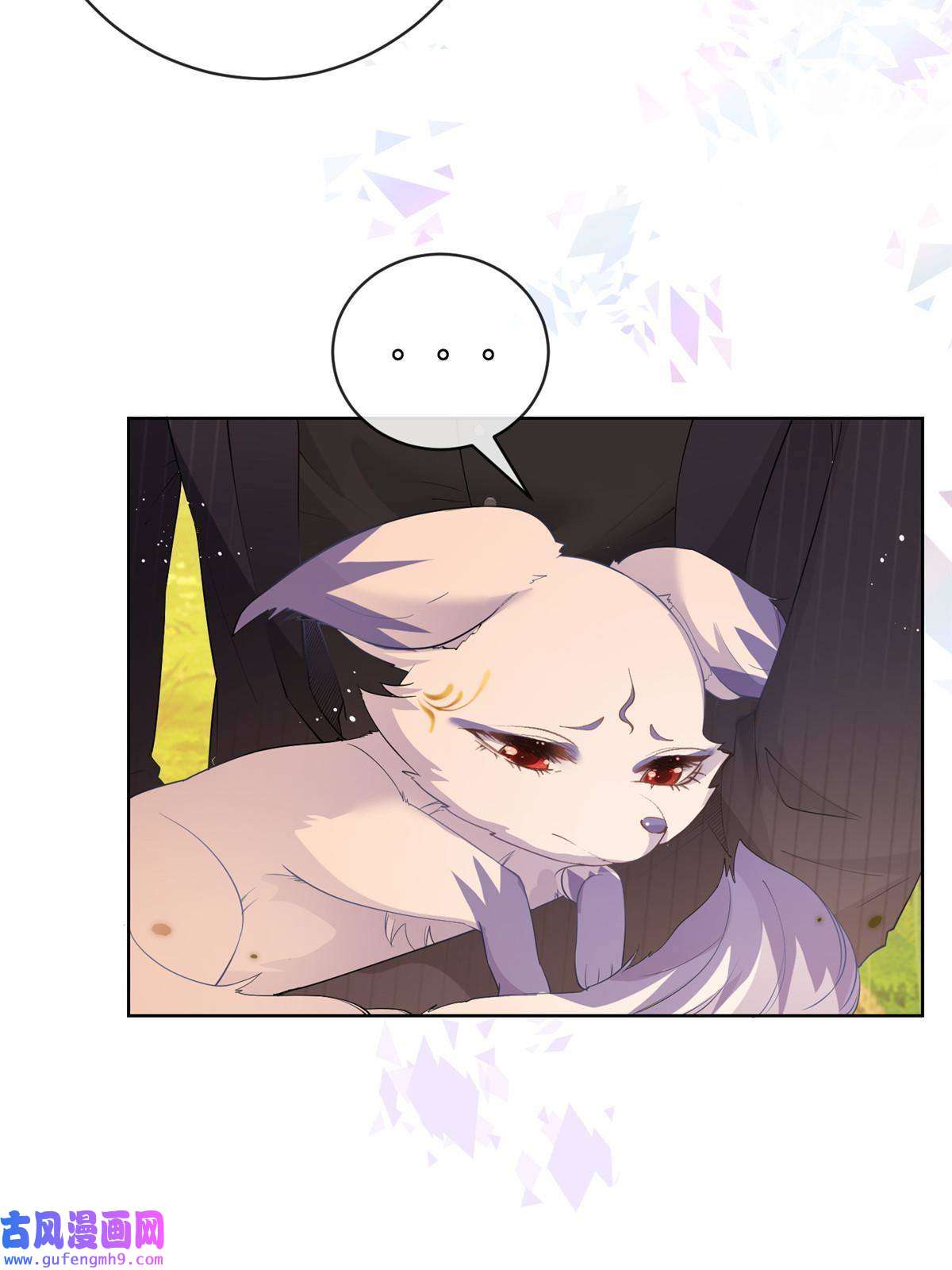 杀手大佬在线养狐053 寻找姻缘的宝石
