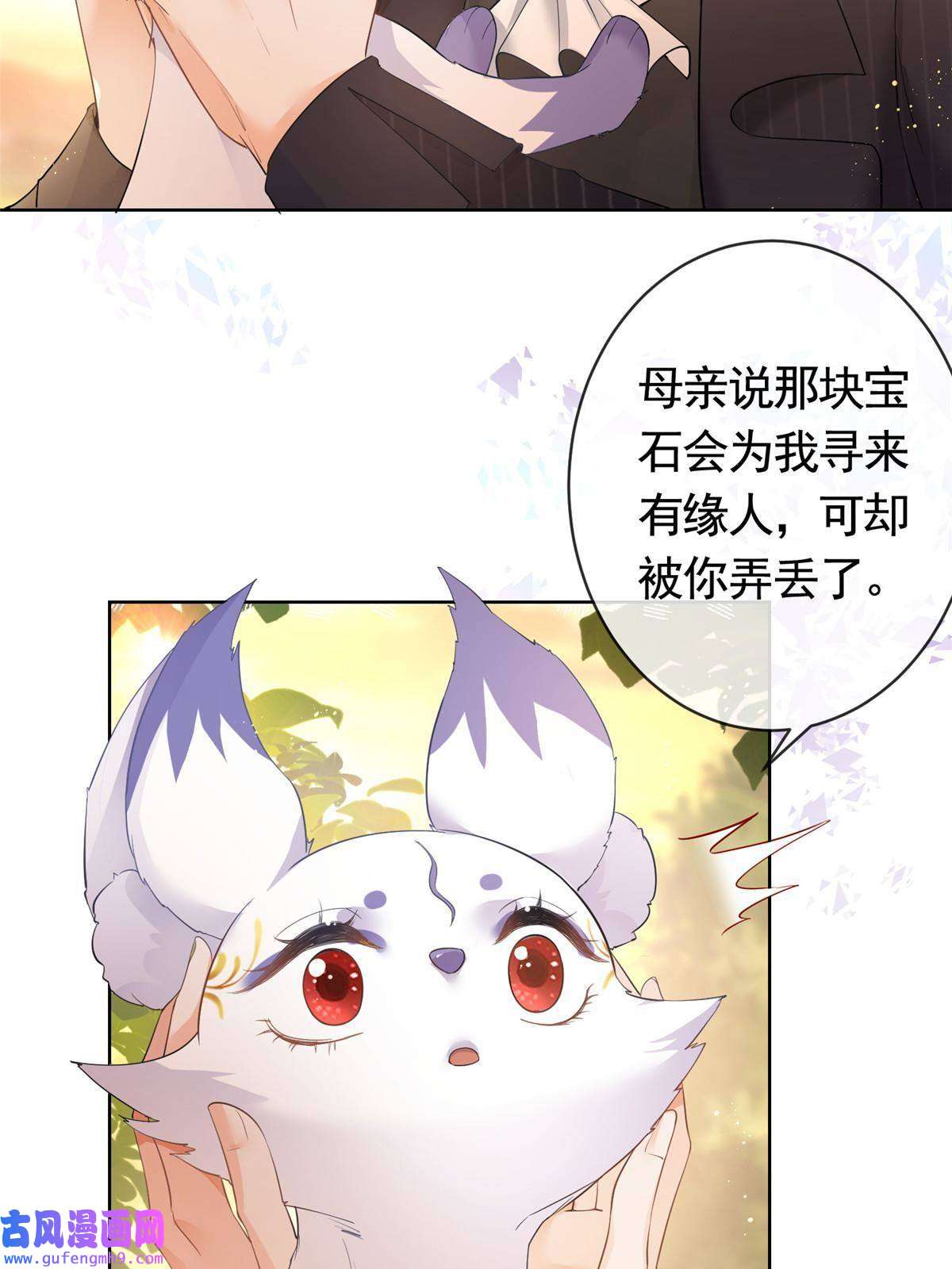 杀手大佬在线养狐053 寻找姻缘的宝石