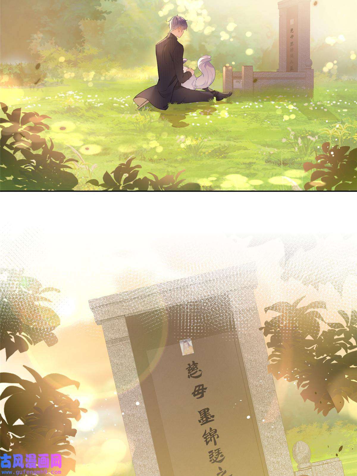 杀手大佬在线养狐053 寻找姻缘的宝石
