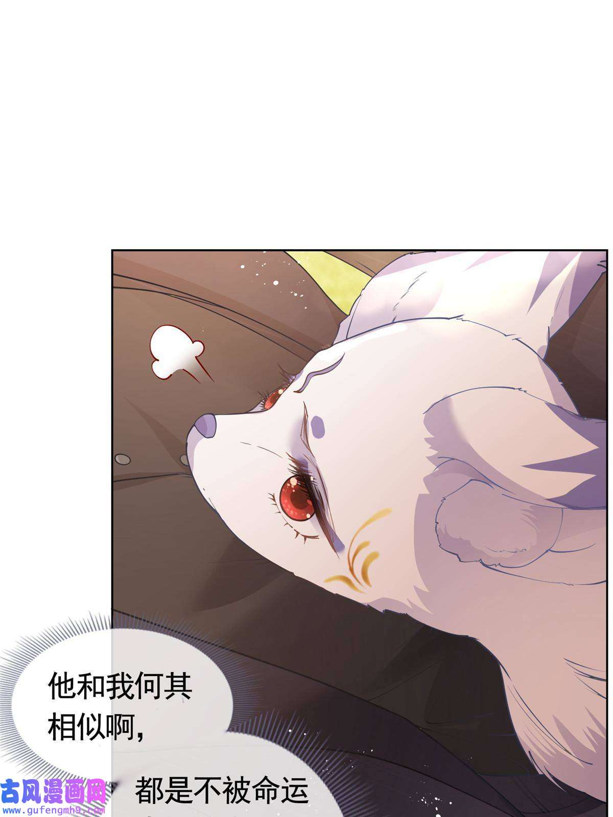 杀手大佬在线养狐053 寻找姻缘的宝石
