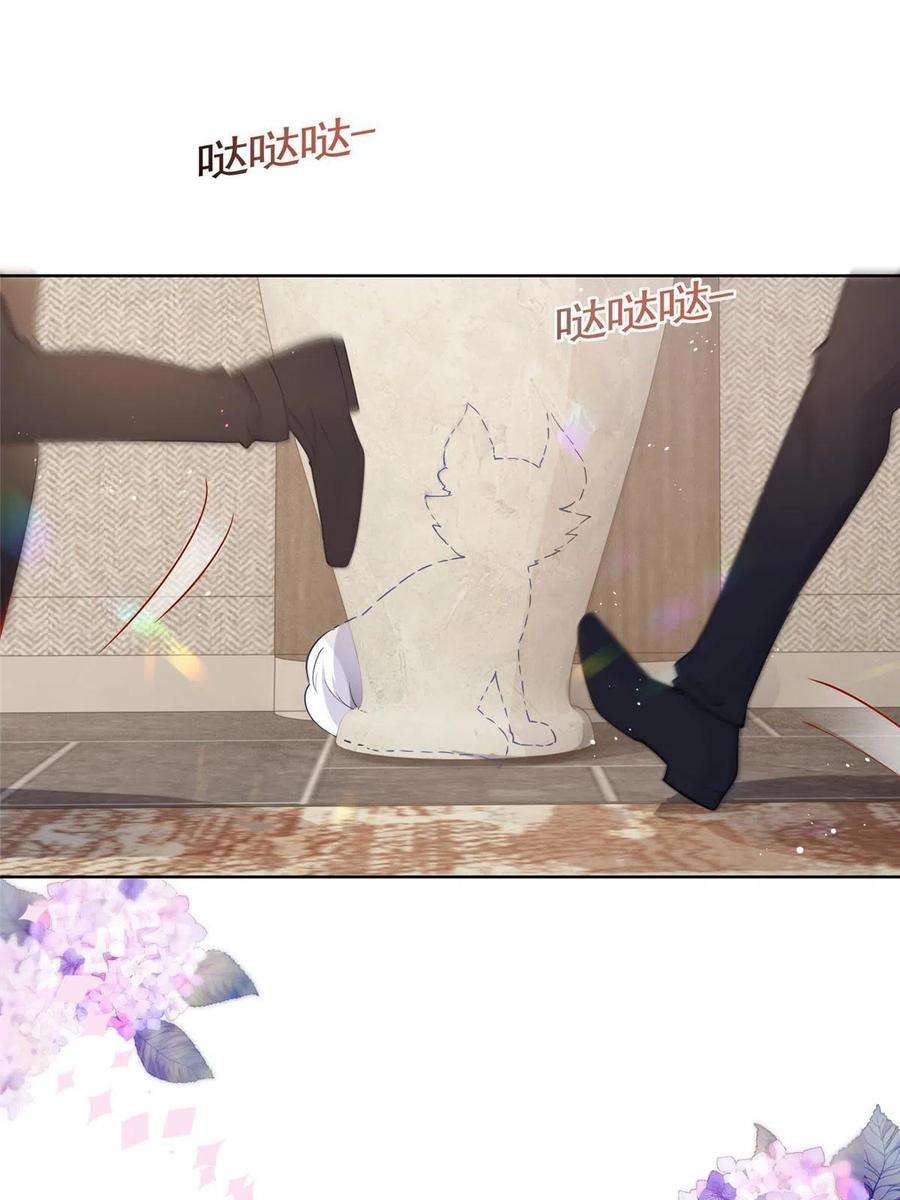 杀手大佬在线养狐069 银狐又落网