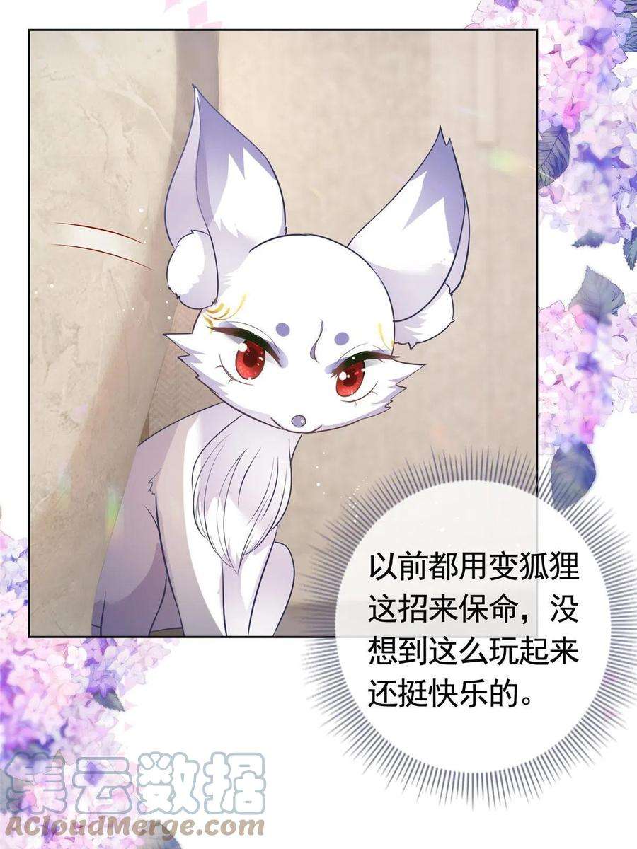 杀手大佬在线养狐069 银狐又落网