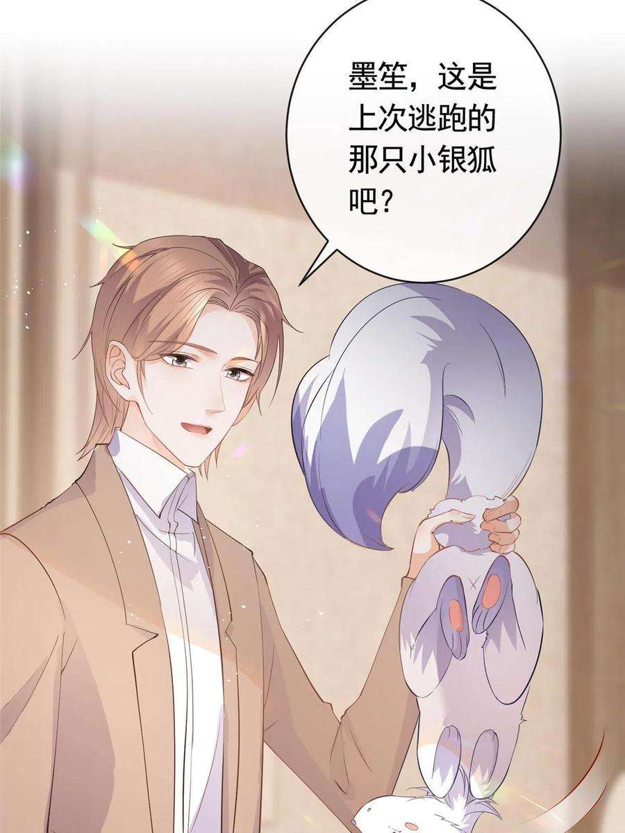杀手大佬在线养狐069 银狐又落网