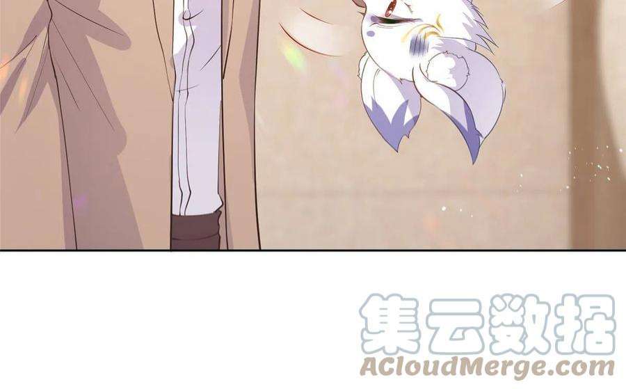杀手大佬在线养狐069 银狐又落网