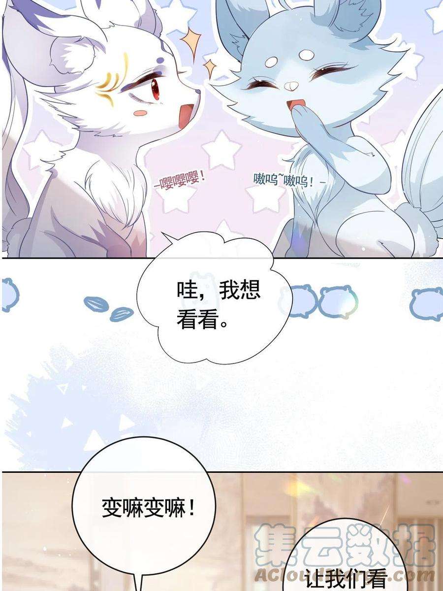 杀手大佬在线养狐069 银狐又落网