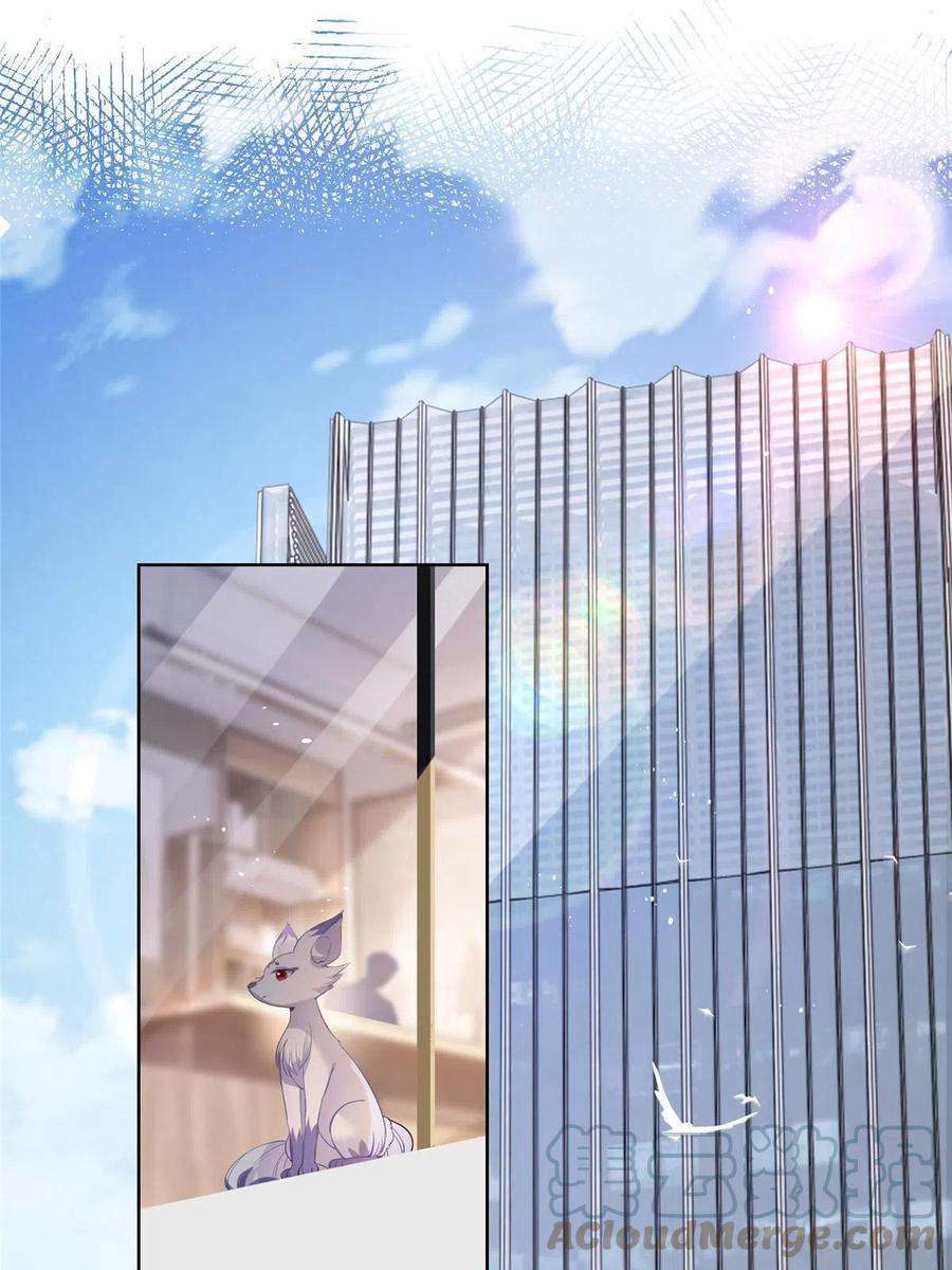 杀手大佬在线养狐070 我爱你又不敢爱你