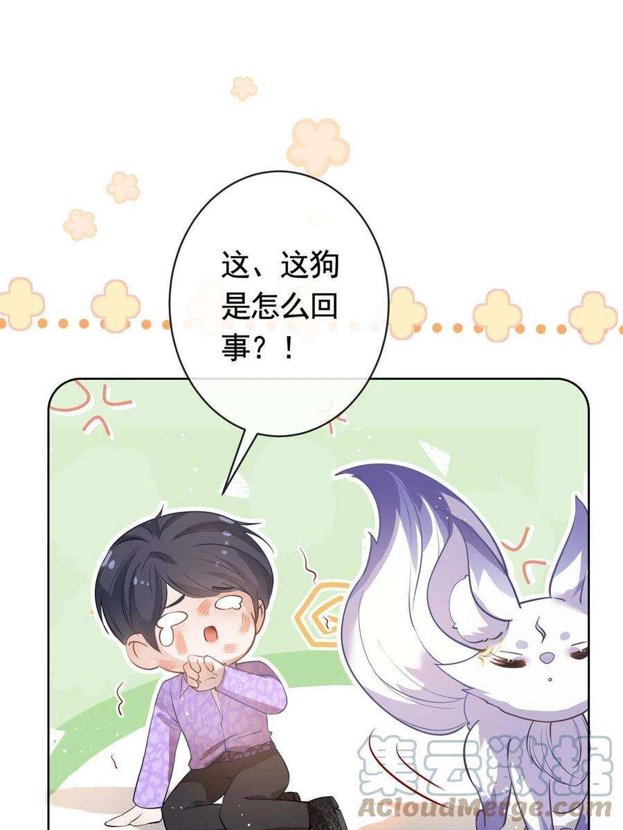 杀手大佬在线养狐071 她不是人