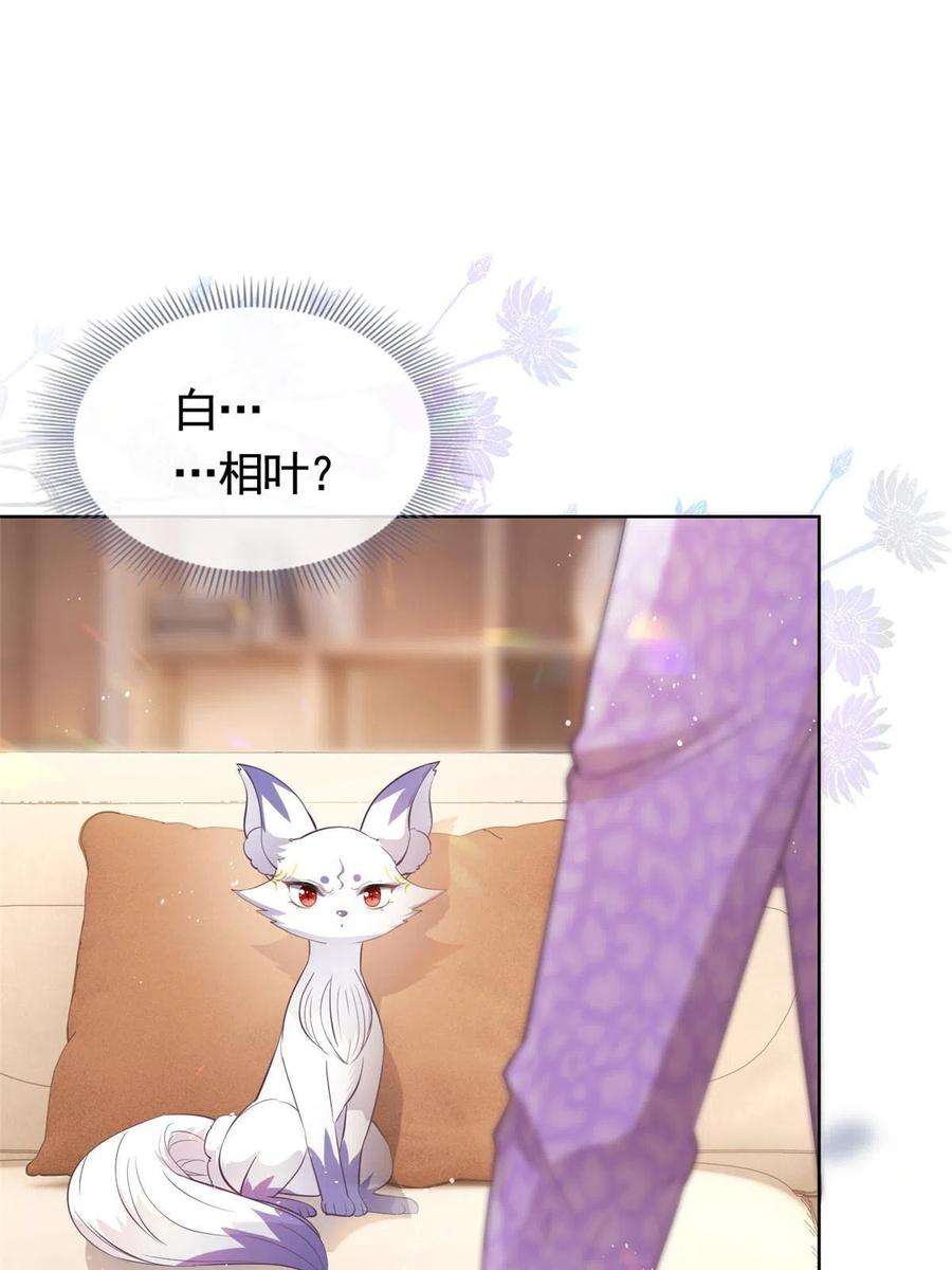 杀手大佬在线养狐071 她不是人