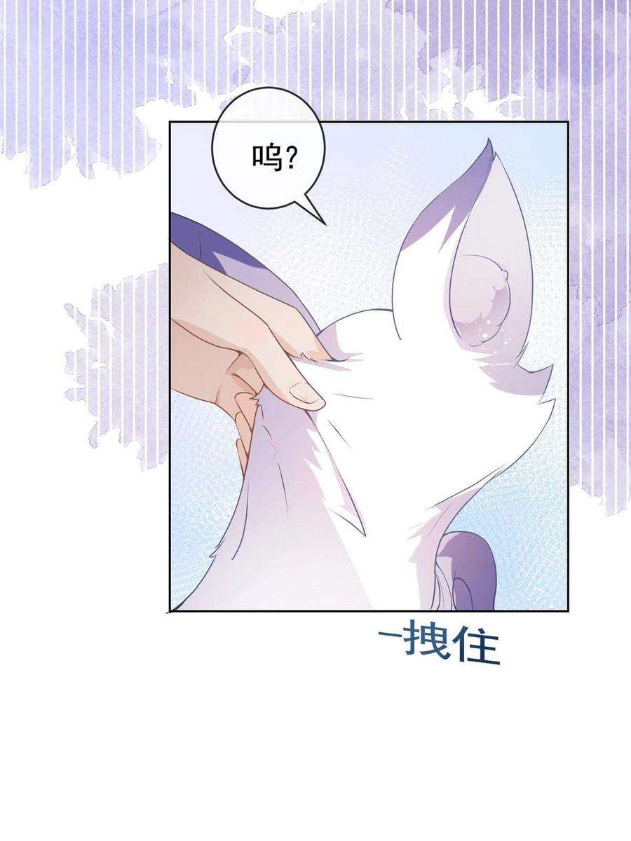 杀手大佬在线养狐072 累世恩怨