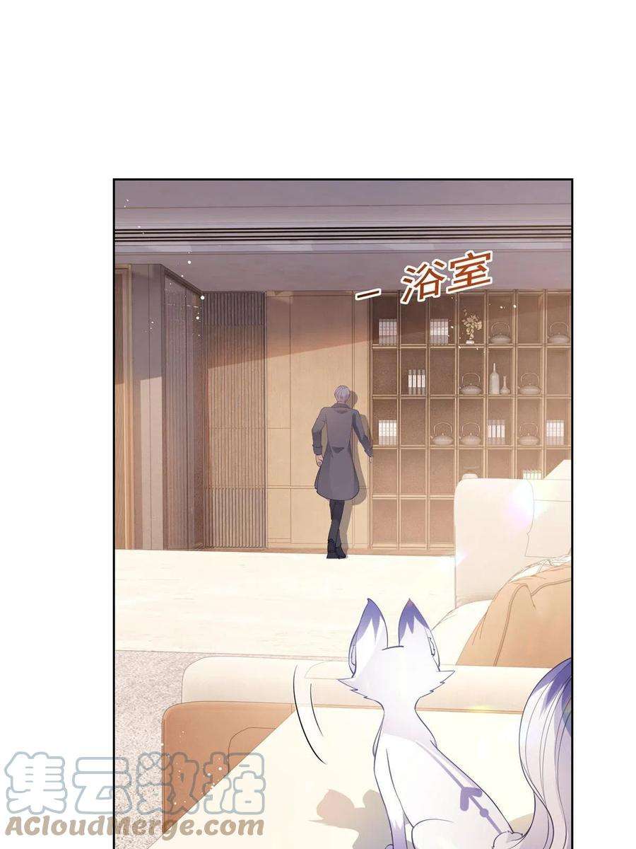 杀手大佬在线养狐073 化形归来