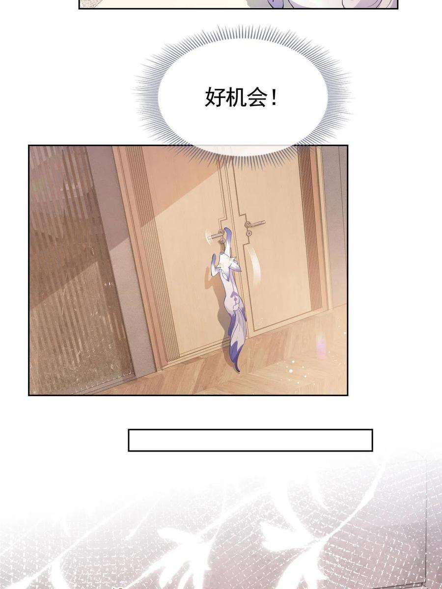 杀手大佬在线养狐073 化形归来