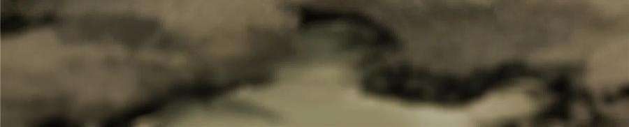 永恒国度057 天下第一武道会