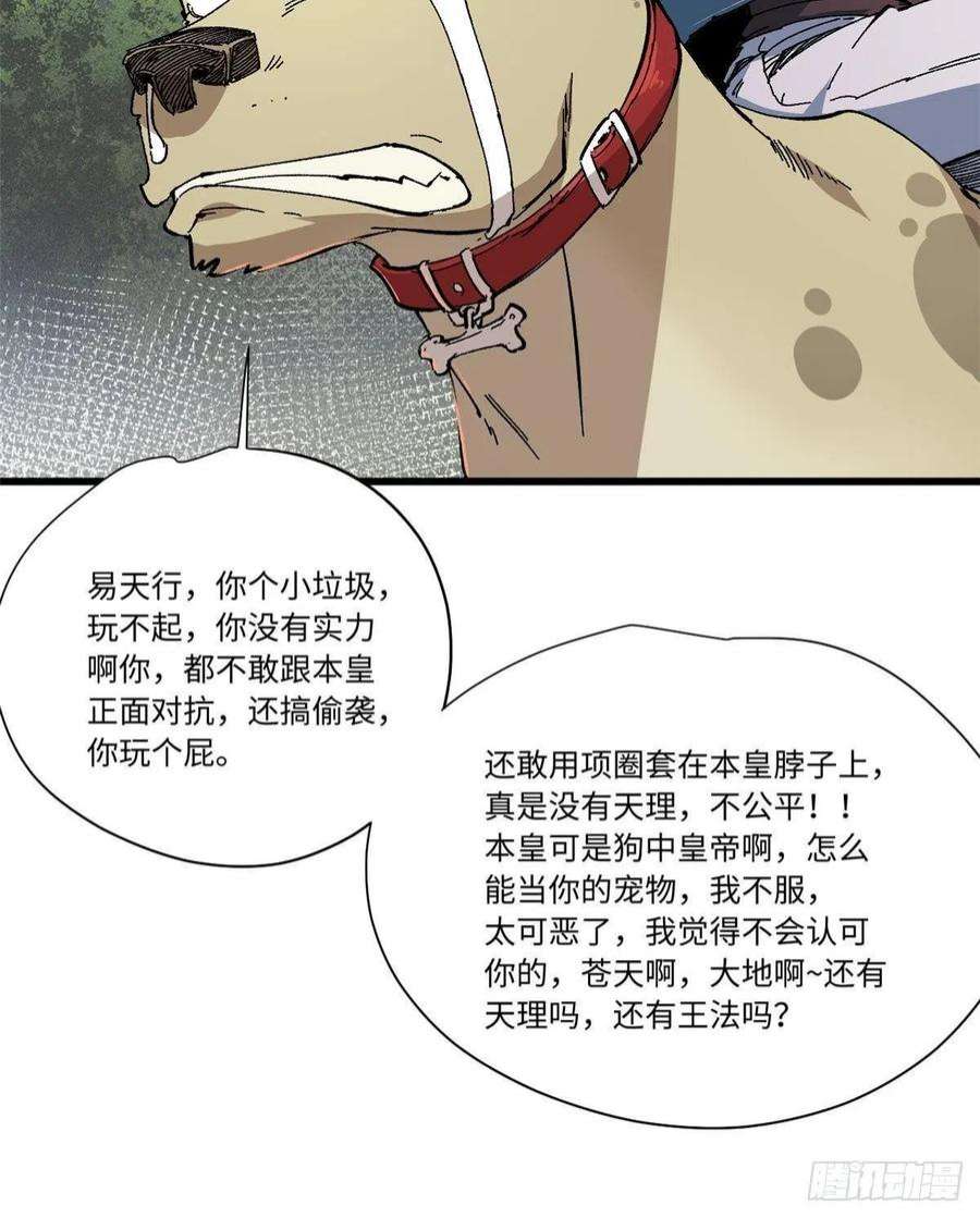 永恒国度057 天下第一武道会