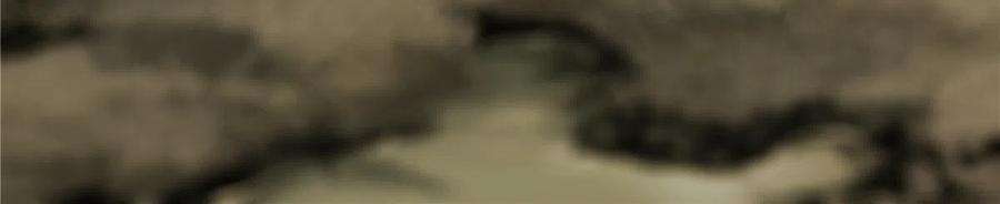 永恒国度059 绿皇叛逃