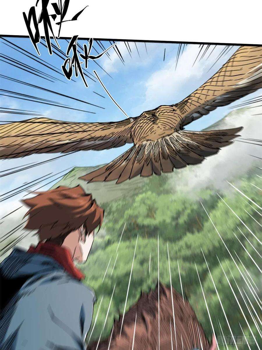 永恒国度060 金雕