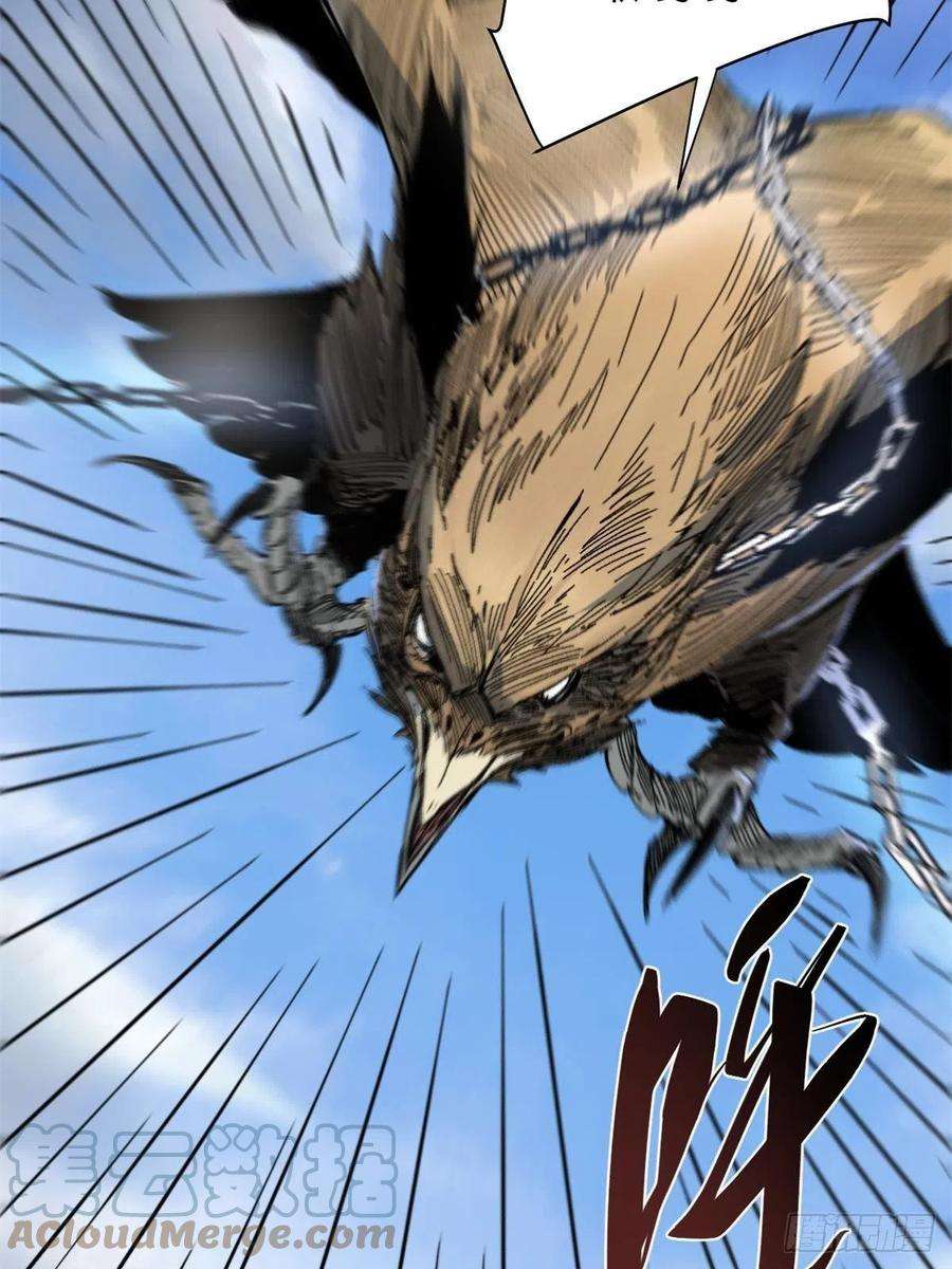 永恒国度060 金雕