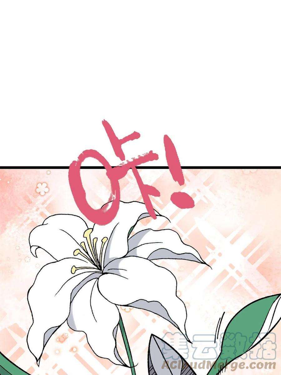 万古最强宗157 约战日