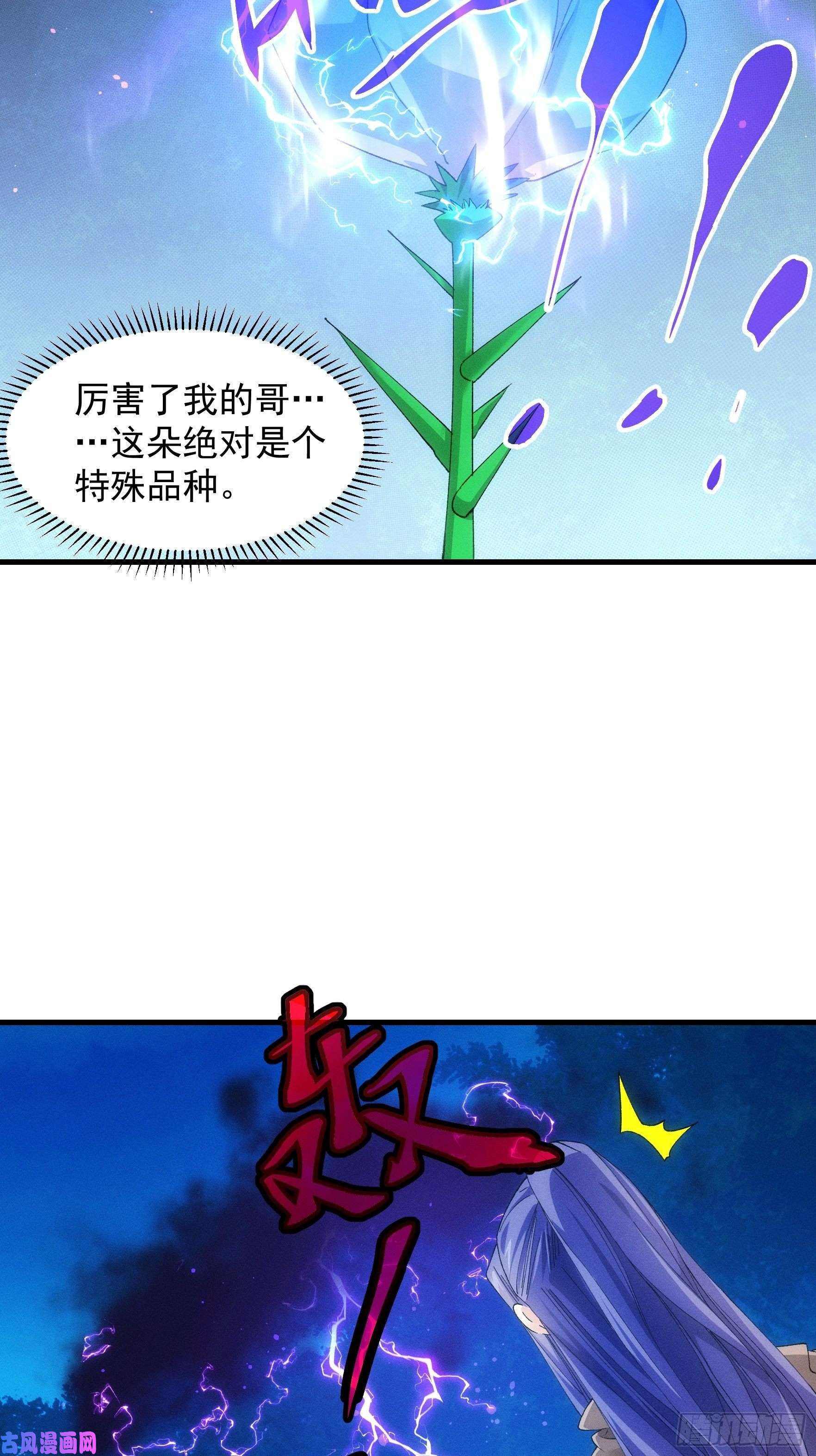 我就是不按套路出牌第45话 雷灵花