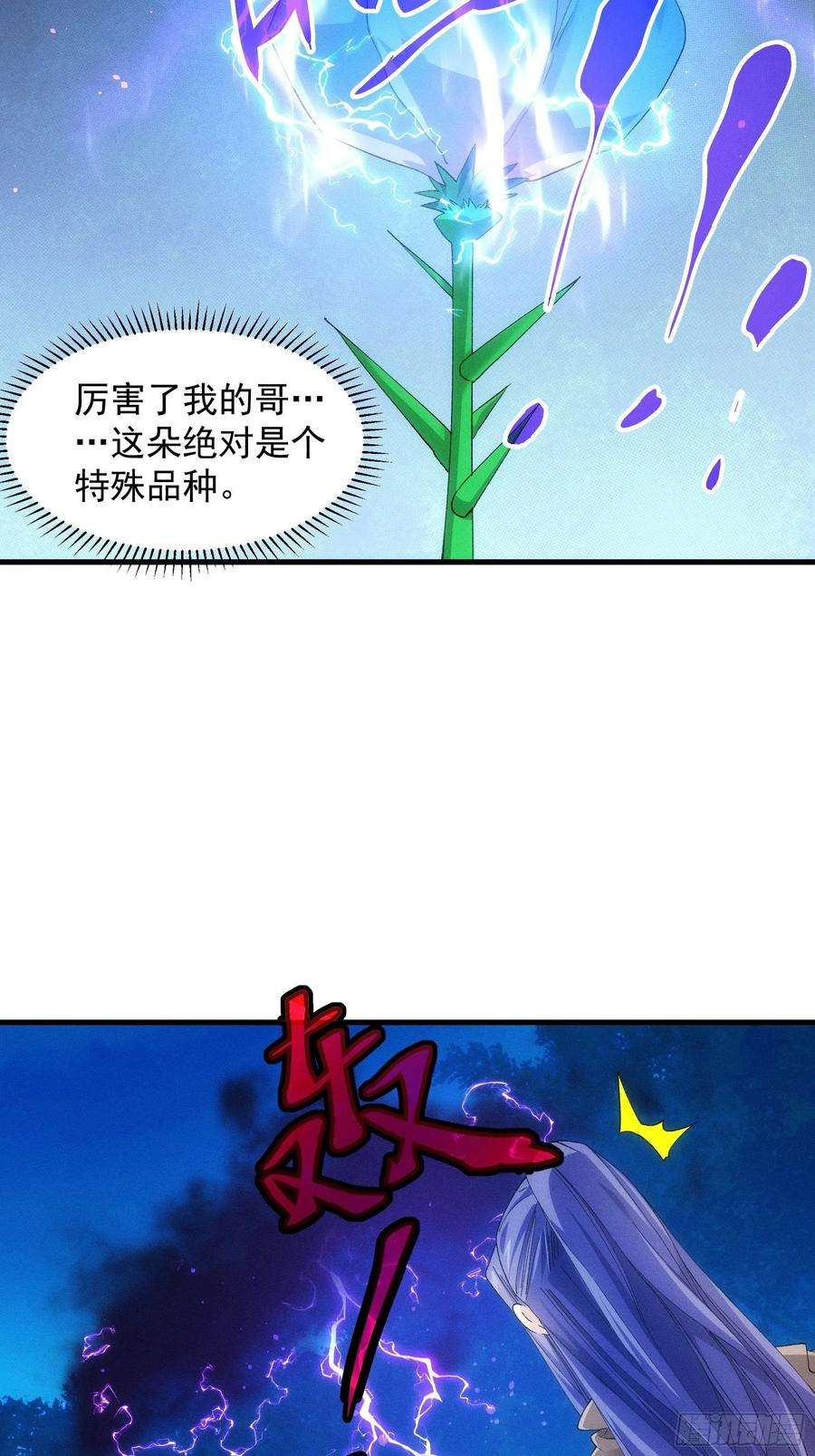 我就是不按套路出牌45话 雷灵花