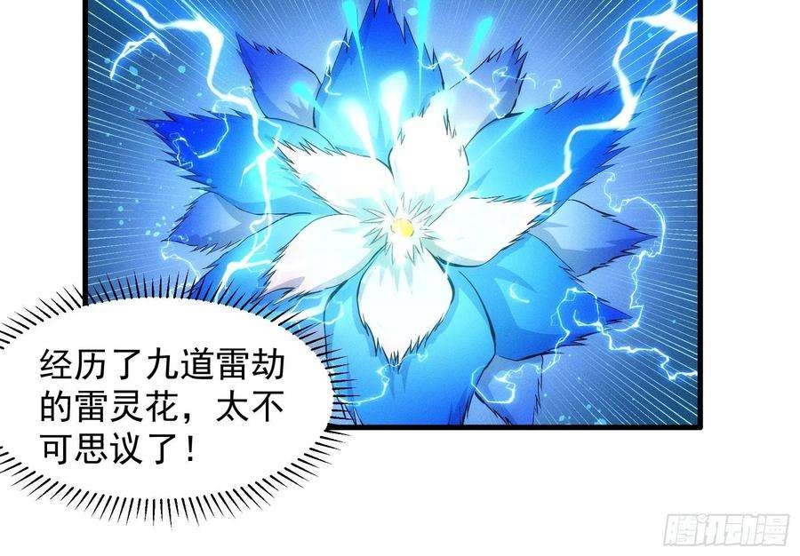 我就是不按套路出牌45话 雷灵花