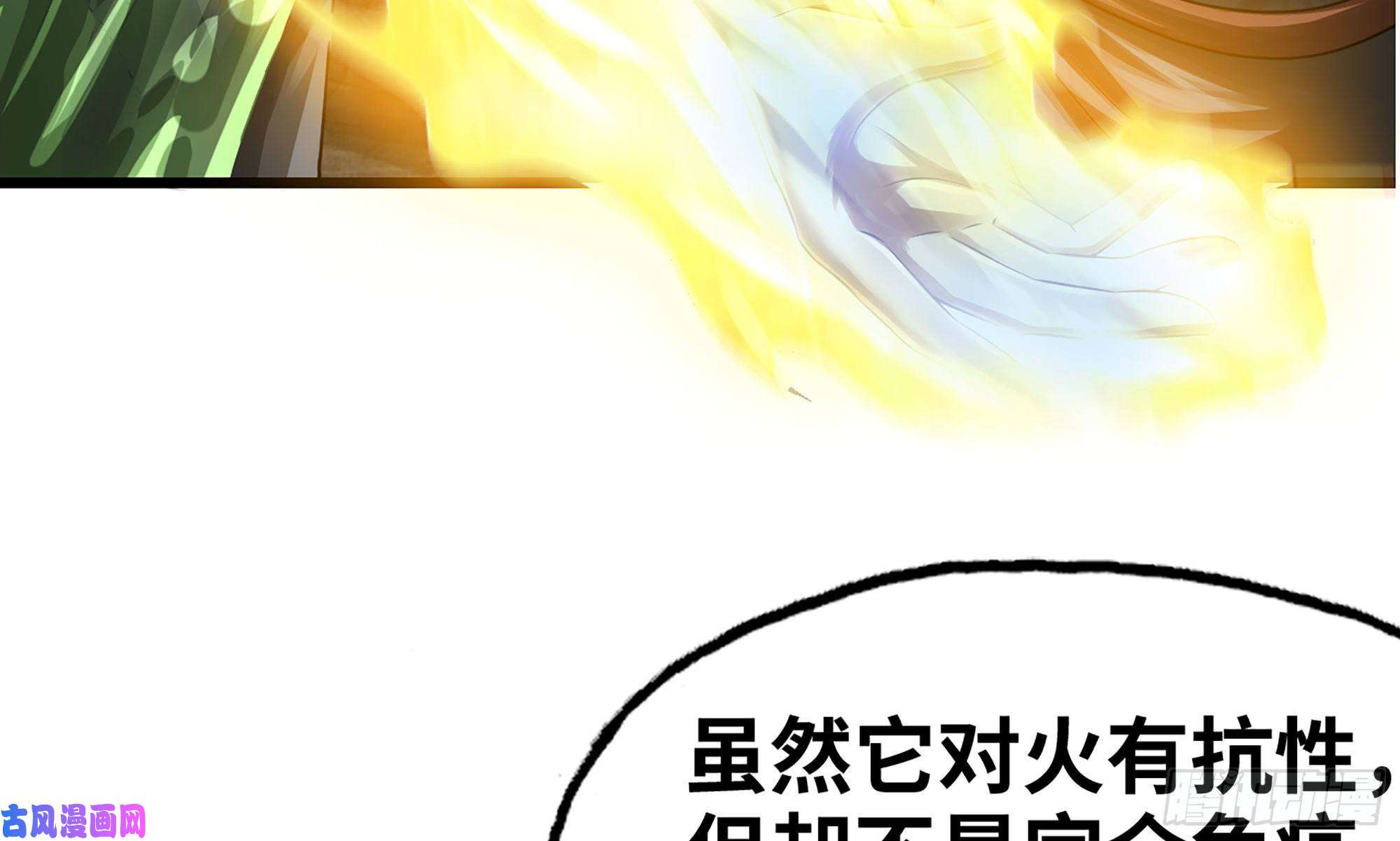 我老婆是魔王大人269- 铂金之炎