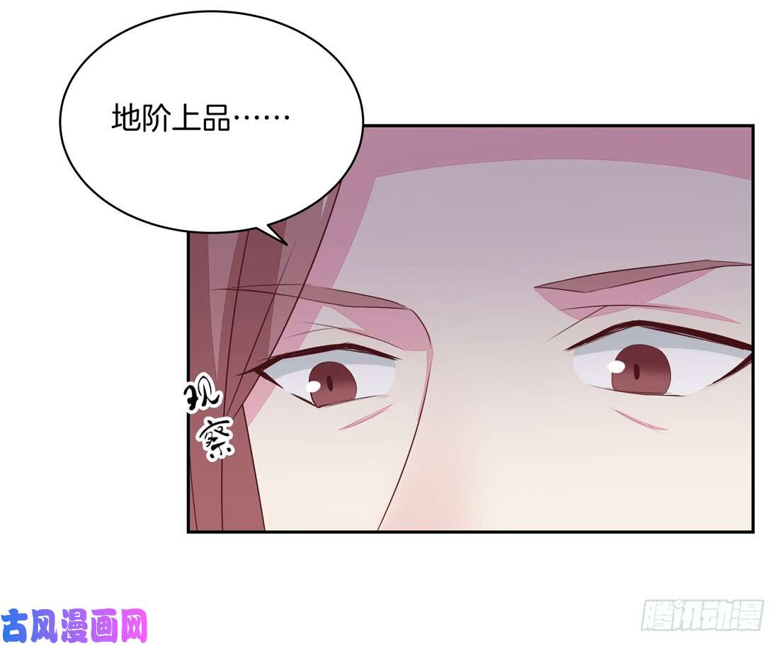 至尊瞳术师：绝世大小姐第二十五话 偷龙转凤