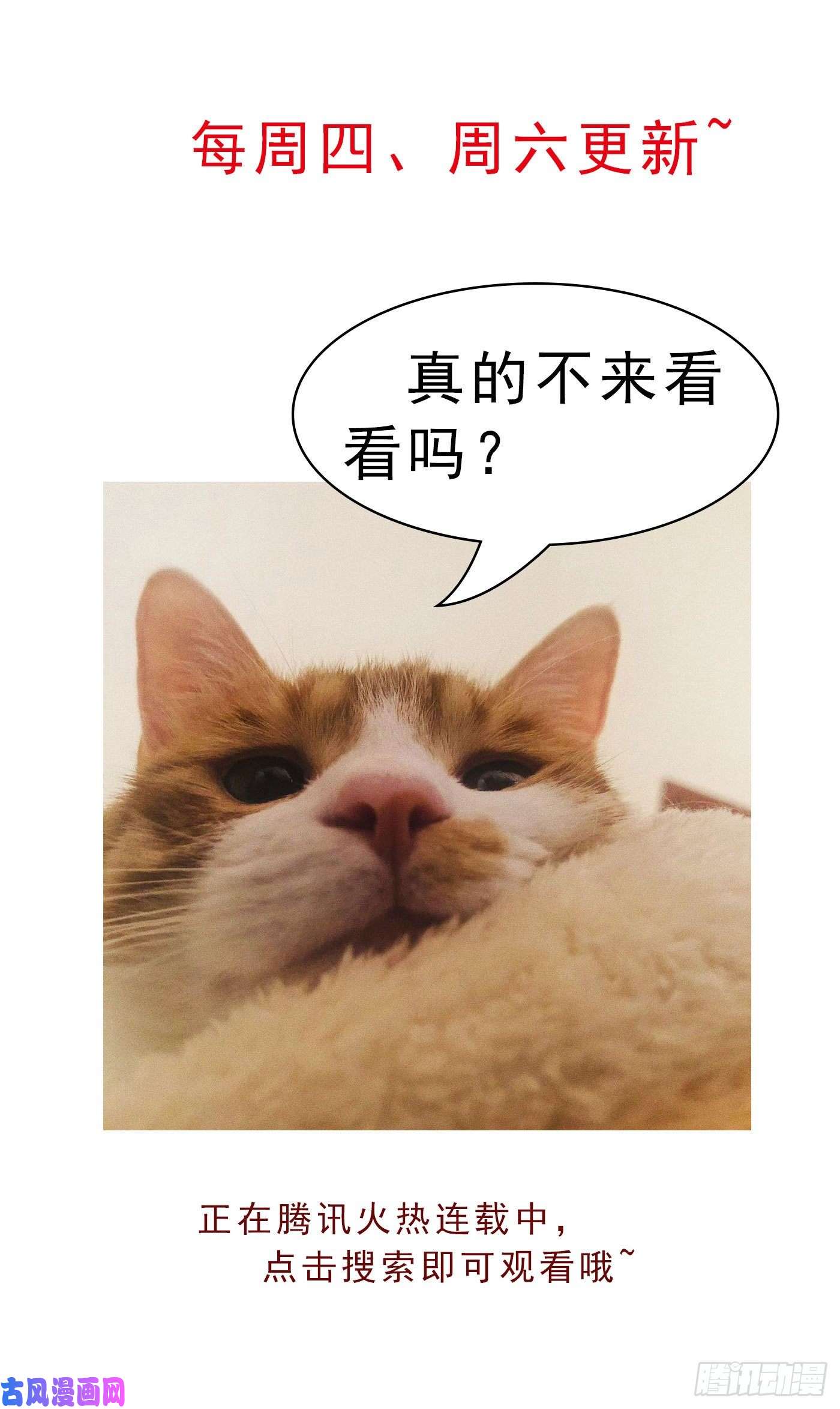 至尊瞳术师：绝世大小姐活动通知