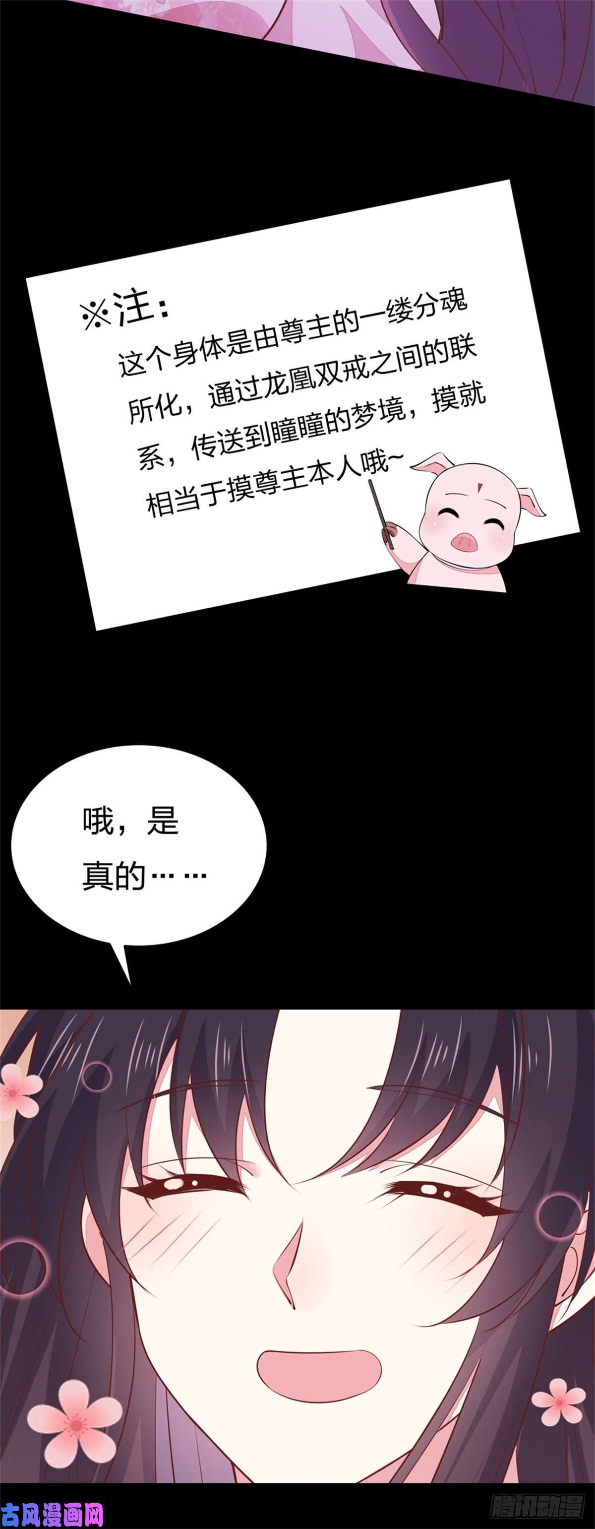 至尊瞳术师：绝世大小姐第一百零二话 梦中幽会？