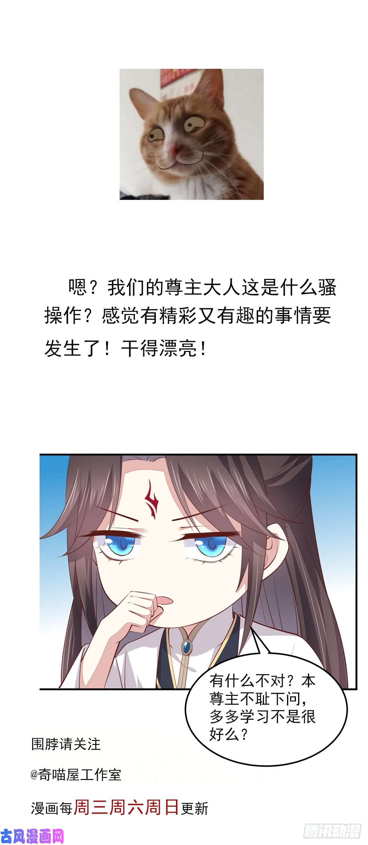 至尊瞳术师：绝世大小姐第一百零五话 经验丰富