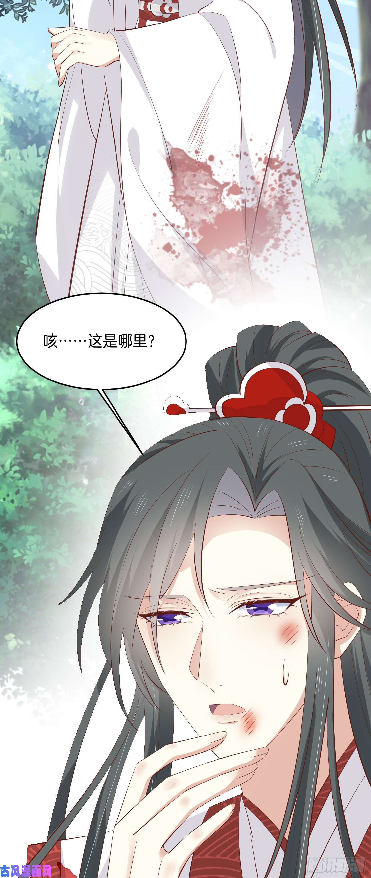 至尊瞳术师：绝世大小姐第三百三十四话 病弱美男上线