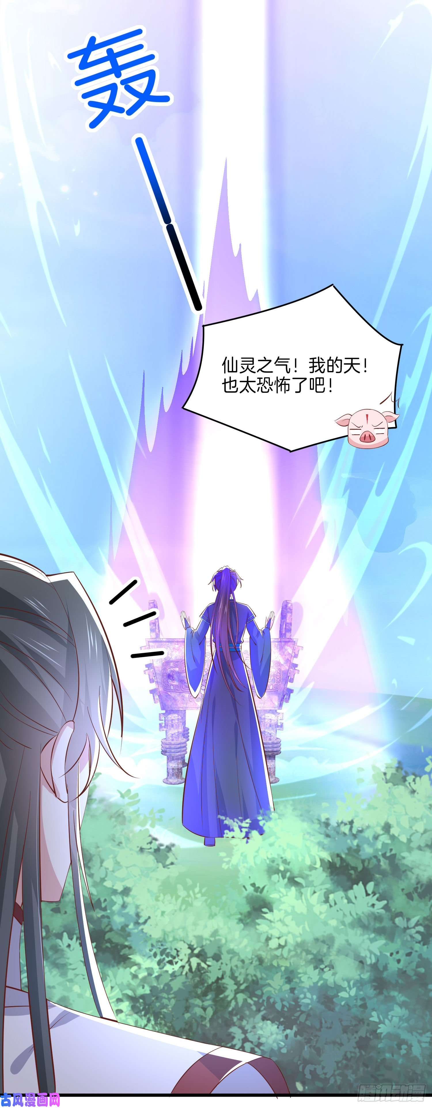 至尊瞳术师：绝世大小姐第二百三十五话 相遇