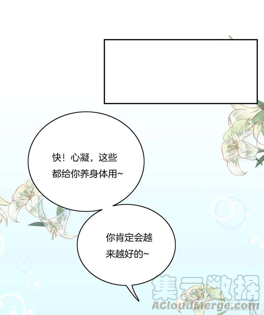 至尊瞳术师：绝世大小姐六话 东篱国第一美人