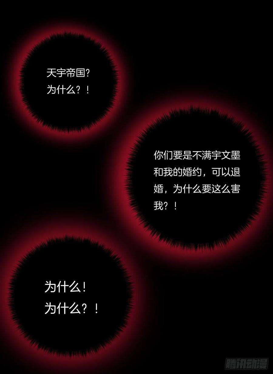 至尊瞳术师：绝世大小姐六话 东篱国第一美人
