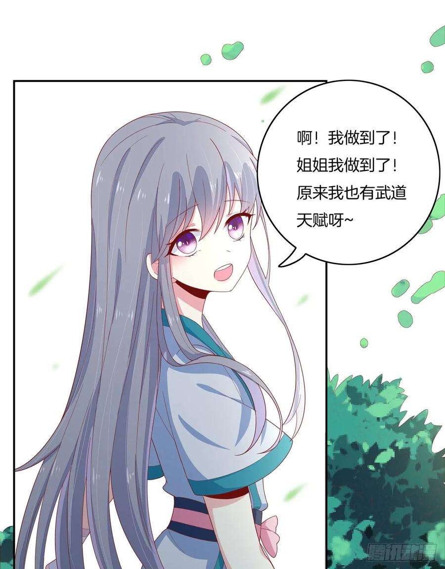 至尊瞳术师：绝世大小姐六话 东篱国第一美人