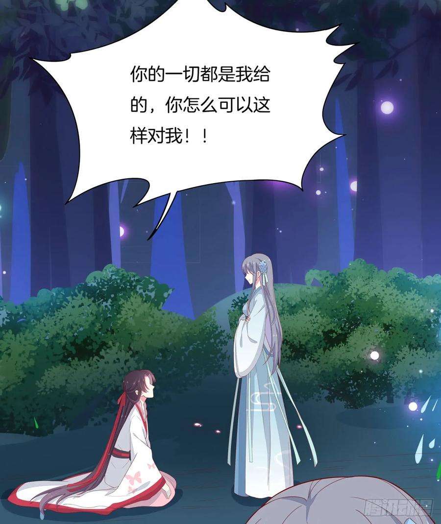 至尊瞳术师：绝世大小姐六话 东篱国第一美人