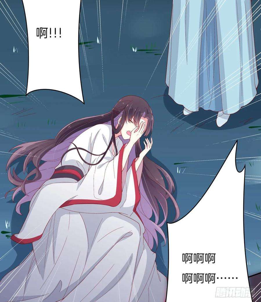 至尊瞳术师：绝世大小姐六话 东篱国第一美人