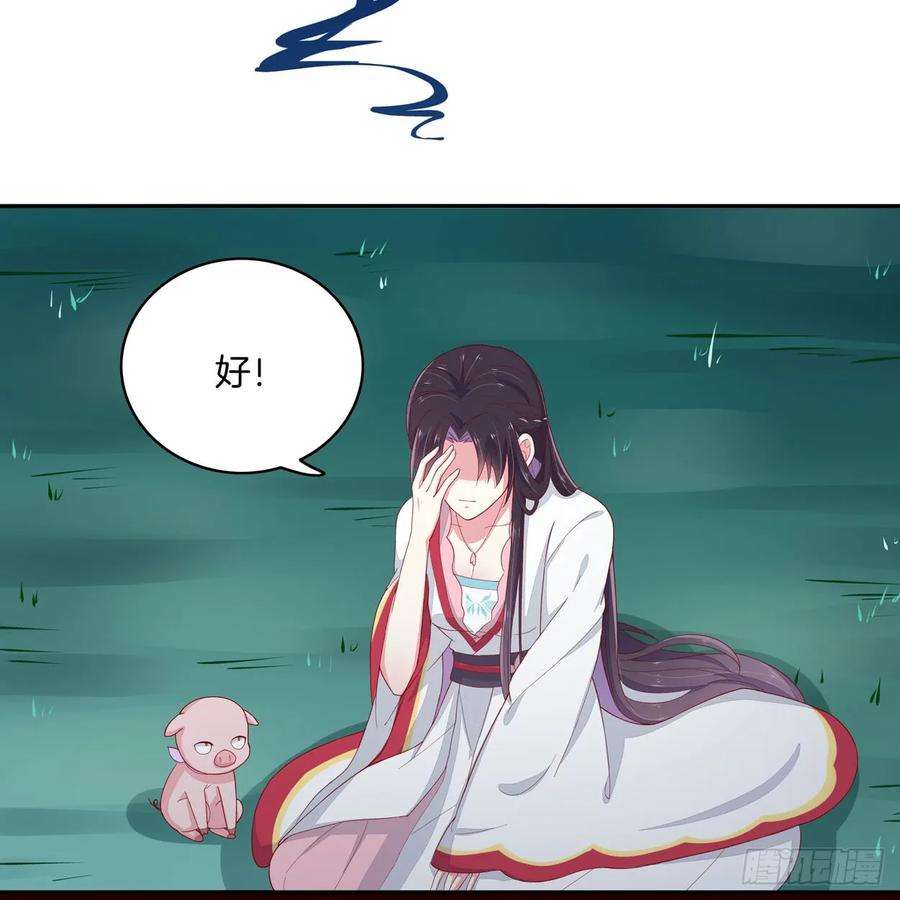 至尊瞳术师：绝世大小姐六话 东篱国第一美人