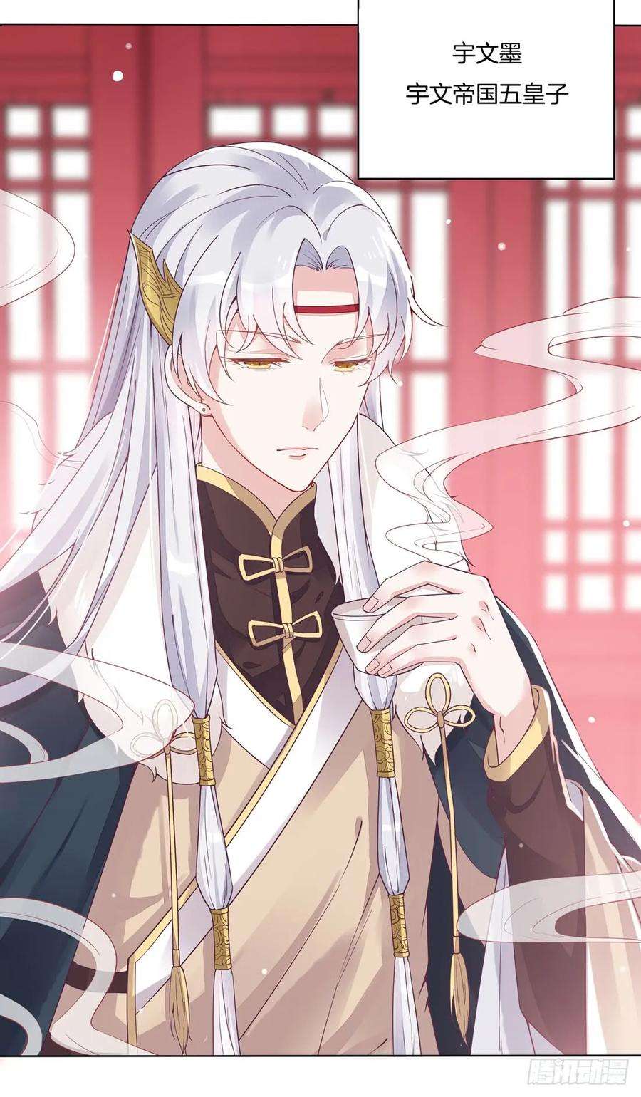 至尊瞳术师：绝世大小姐八话 到底为什么追我？