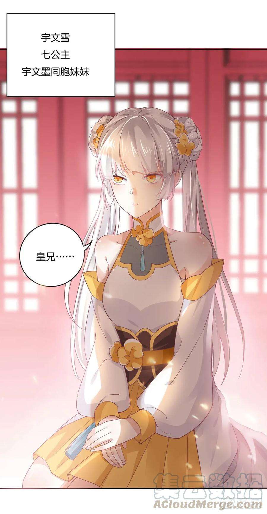 至尊瞳术师：绝世大小姐八话 到底为什么追我？