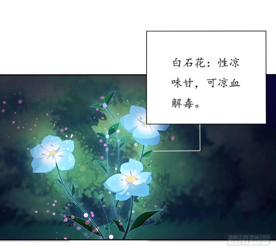 至尊瞳术师：绝世大小姐八话 到底为什么追我？