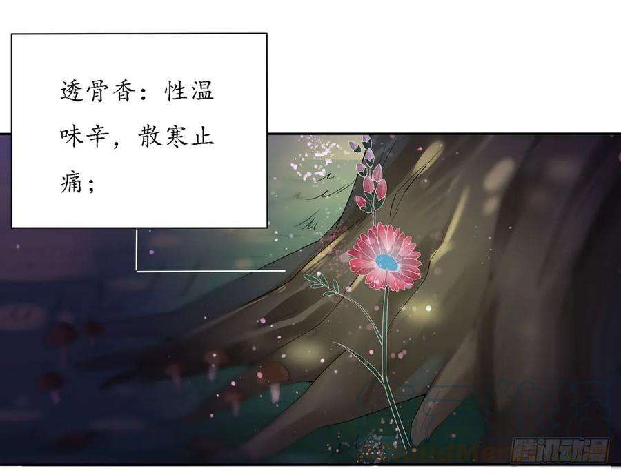 至尊瞳术师：绝世大小姐八话 到底为什么追我？