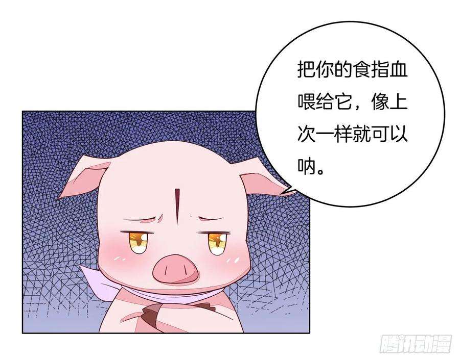至尊瞳术师：绝世大小姐十四话 谁还不是个初吻