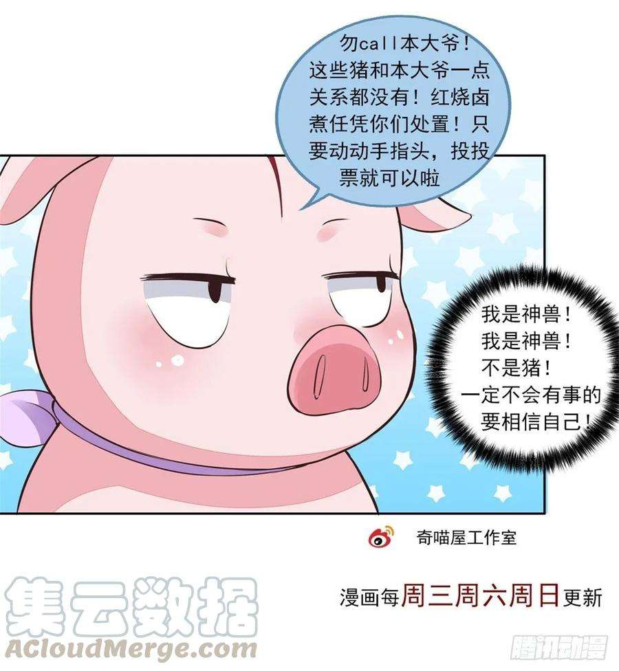 至尊瞳术师：绝世大小姐九十九话 猪猪大本营